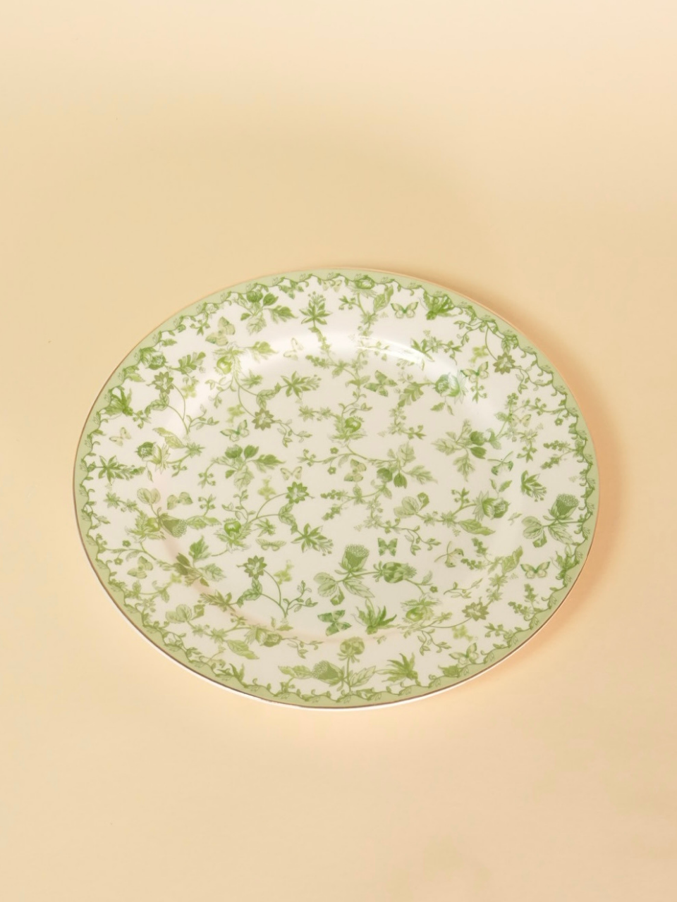 Greeny Garden Porcelain Dinner Plate Set