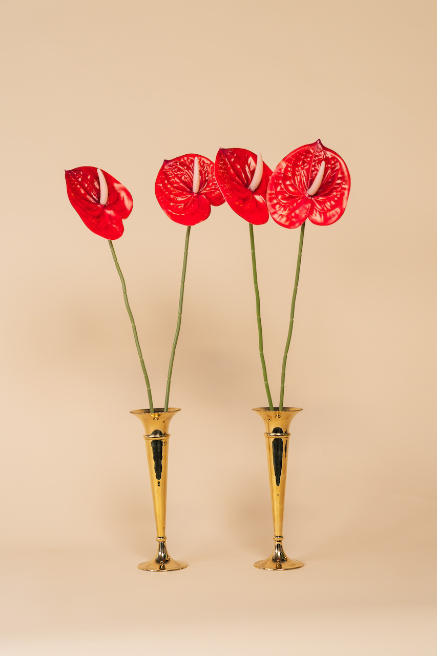 Red Artificial Anthurium Flowers Set of 8