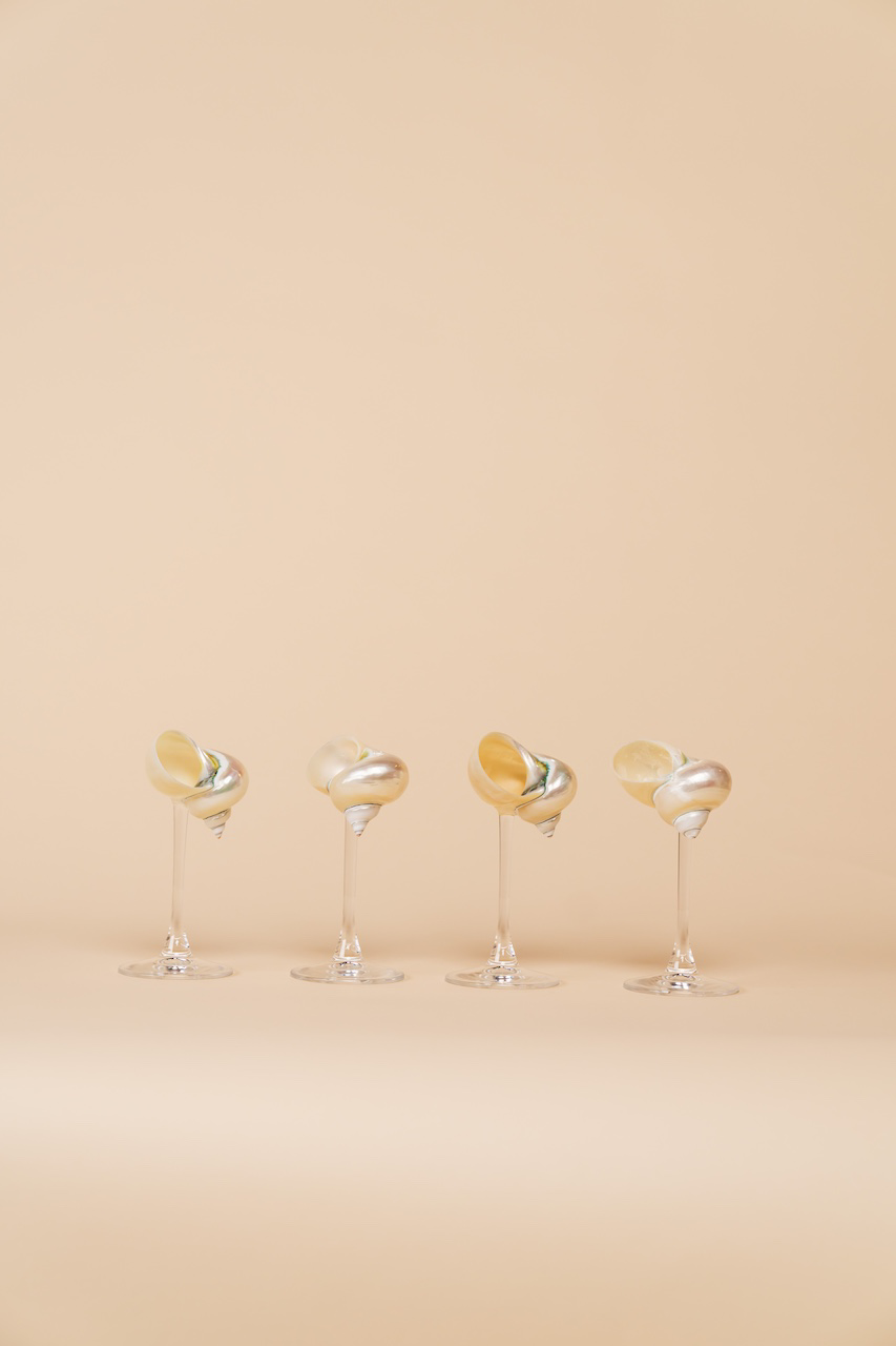 Seashell Glass Set
