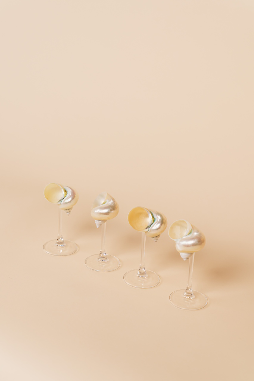 Seashell Glass Set