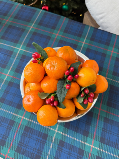 Footed Stainless Steel Bowl