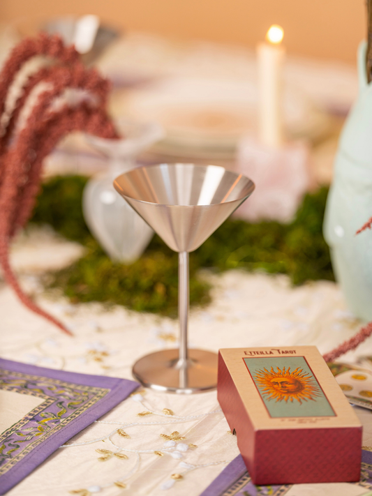 Stainless Steel Martini Glass Set