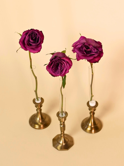 Base Vase Set