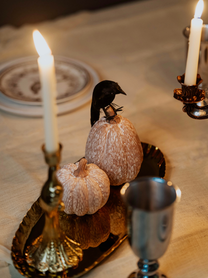 Decorative setting with candles, pumpkins, and a black bird on a tablecloth.