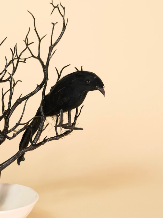 Black bird perched on a branch against a beige background