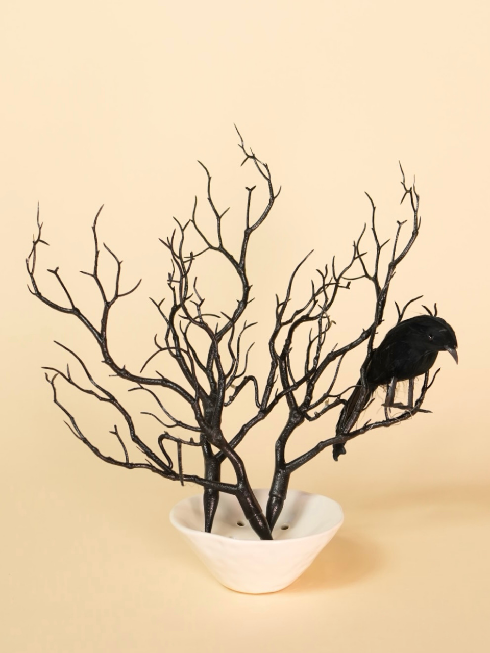 Decorative arrangement with black branches and a bird on a beige background
