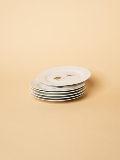 Martini Plate Set
