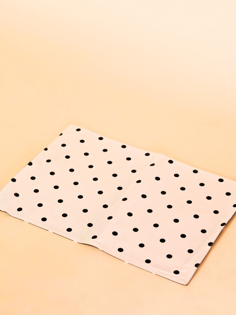 Reversible Polka Dot Placemat Set