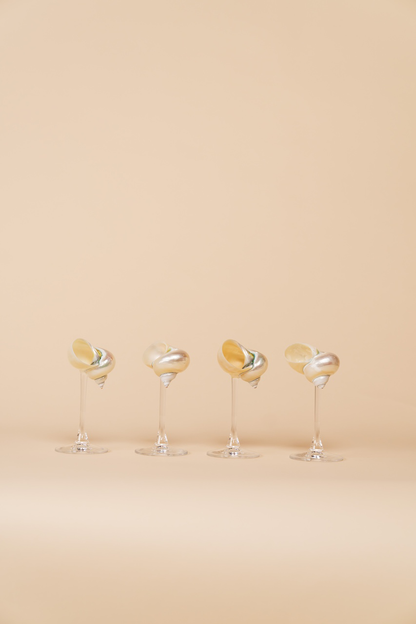 Seashell Glass Set